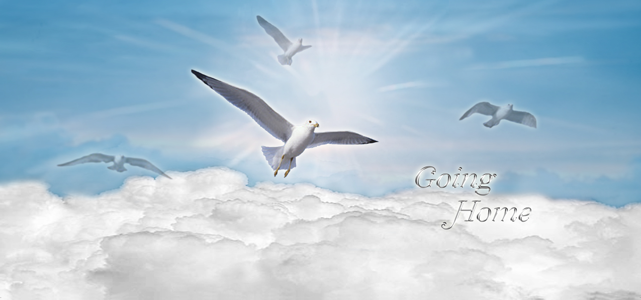 Going Home Clouds Birds Blue